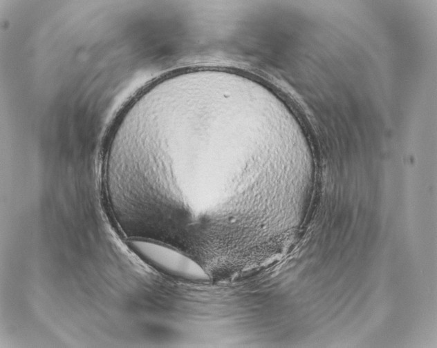 X0000087381416200705111724