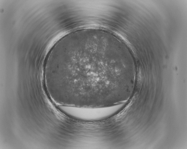 X0000087381418200705111724