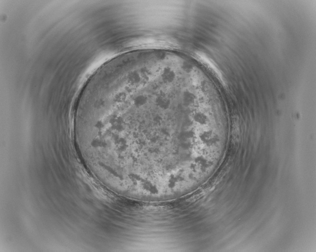 X0000087381419200705111724