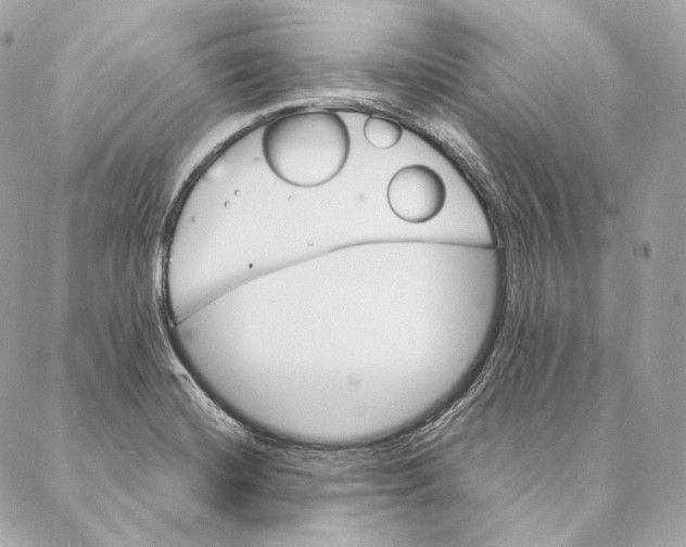 X0000087381420200705111724