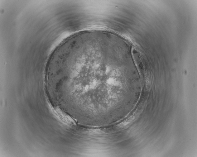 X0000087381422200705111724