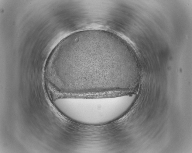 X0000087381423200705111724