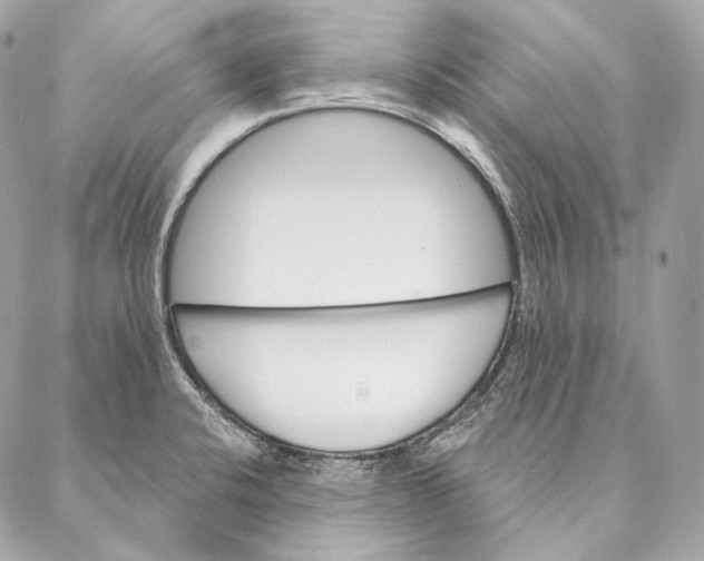 X0000087381424200705111724