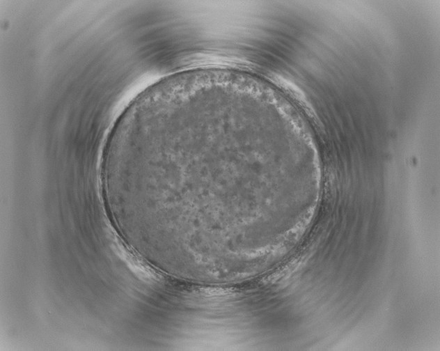 X0000087381427200705111724