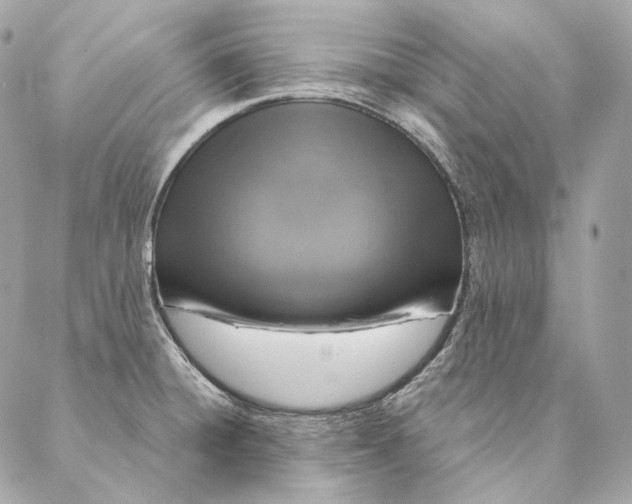 X0000087381428200705111724