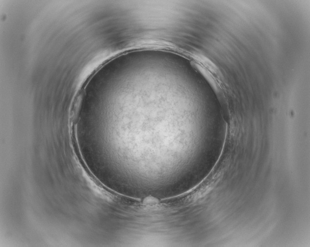 X0000087381430200705111724