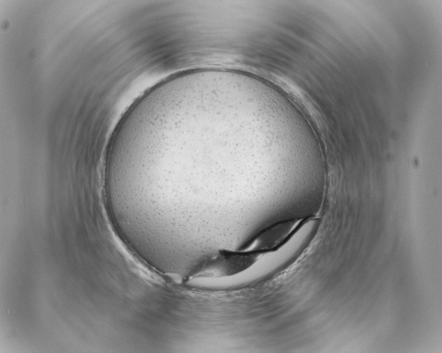 X0000087381432200705111724