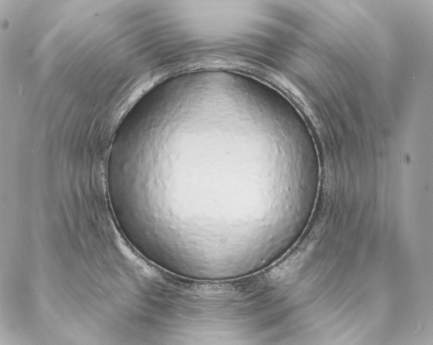 X0000087381433200705111724