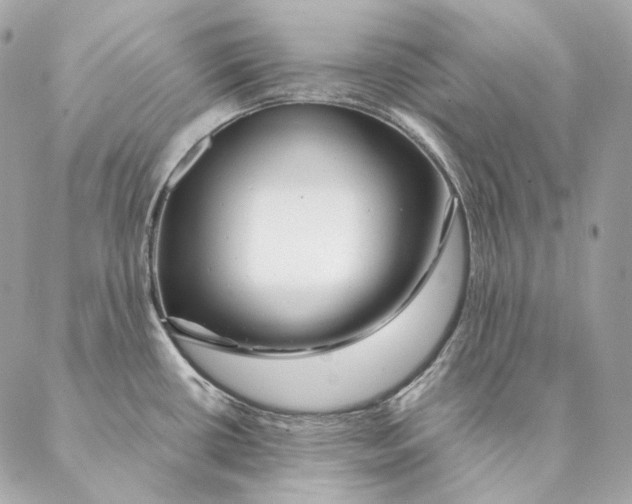 X0000087381434200705111724