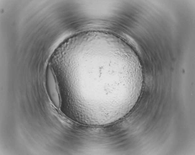 X0000087381435200705111724