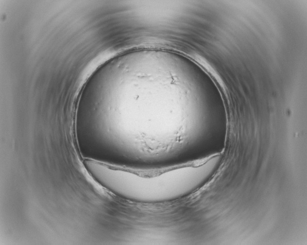 X0000087381437200705111724