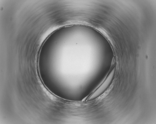 X0000087381438200705111724