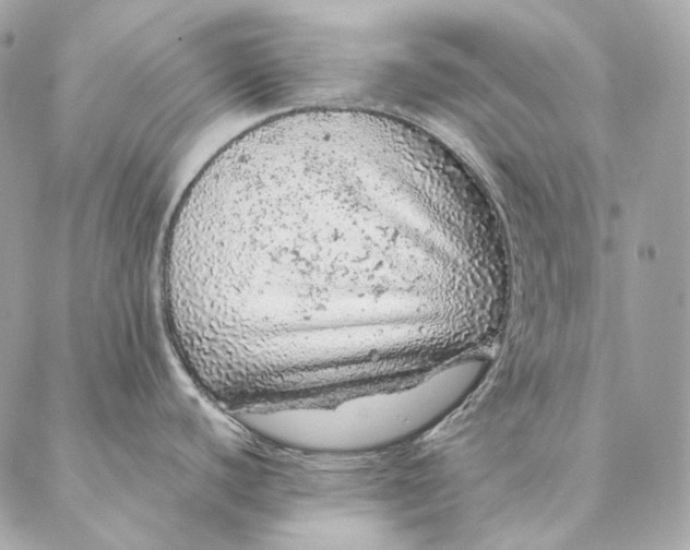 X0000087381440200705111724