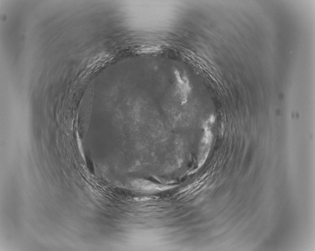 X0000087381441200705111723