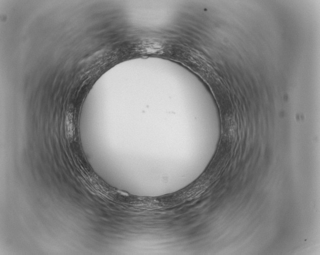 X0000087381442200705111723