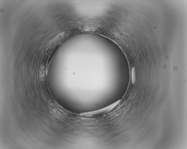 X0000087381443200705111723