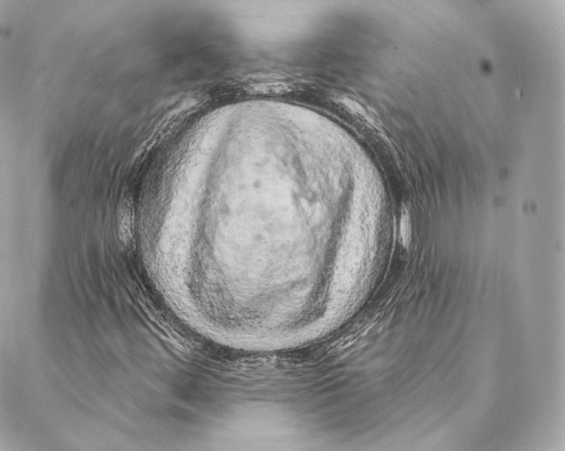 X0000087381444200705111723