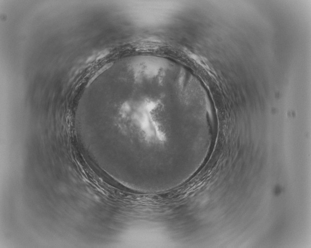 X0000087381445200705111723