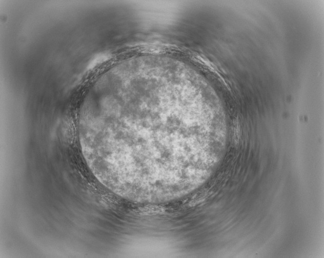 X0000087381446200705111723