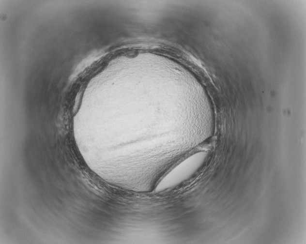 X0000087381448200705111723