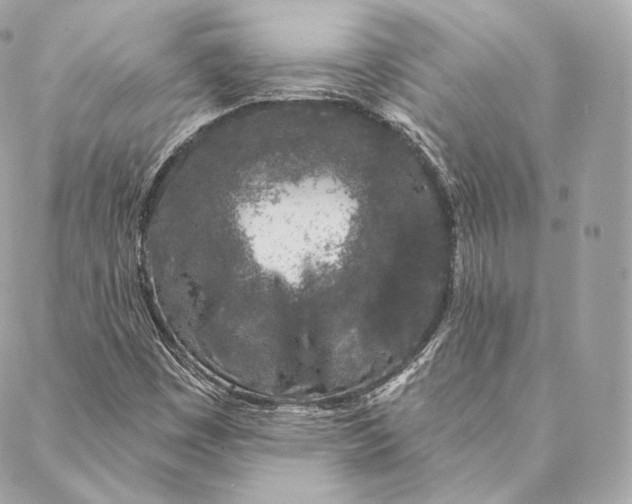 X0000087381449200705111723