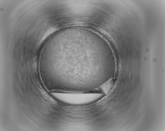 X0000087381450200705111723