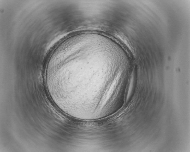 X0000087381452200705111723