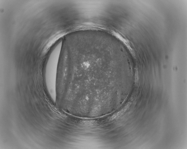 X0000087381453200705111723