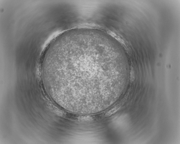 X0000087381454200705111723