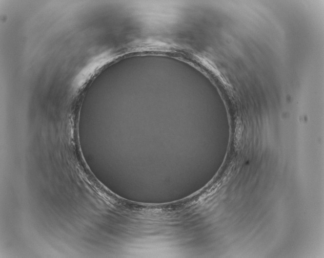 X0000087381455200705111723