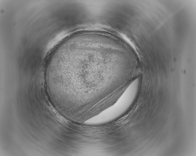 X0000087381456200705111723