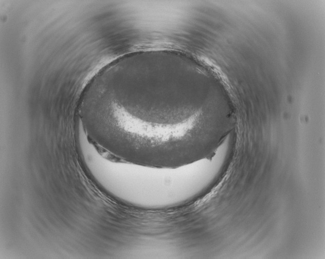 X0000087381457200705111723