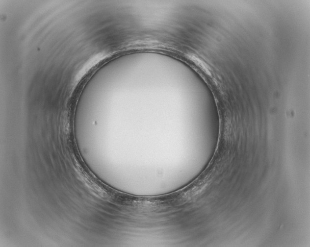 X0000087381458200705111723