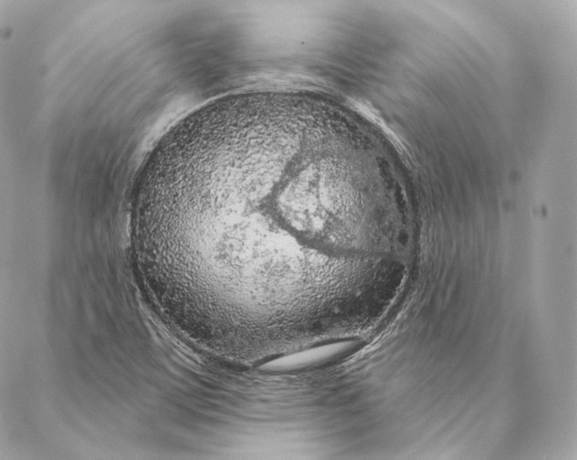 X0000087381459200705111723