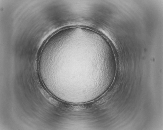 X0000087381460200705111723