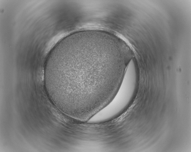 X0000087381461200705111723