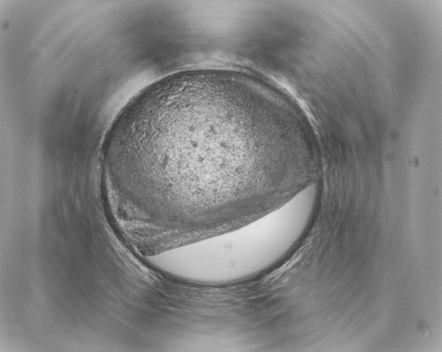 X0000087381463200705111723