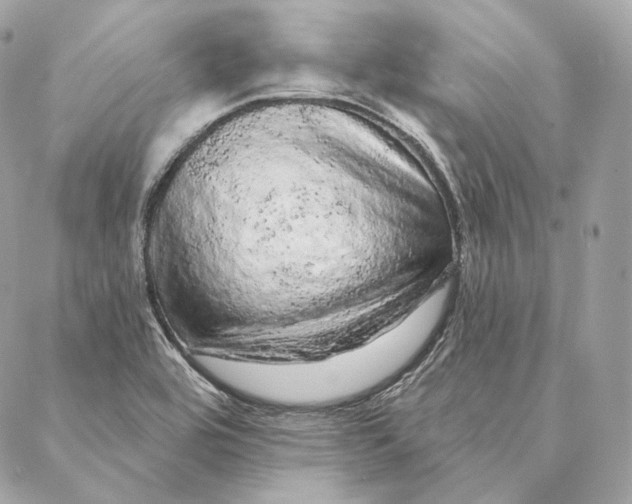 X0000087381464200705111723