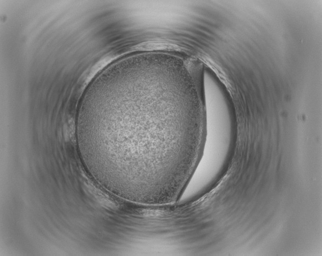 X0000087381465200705111723