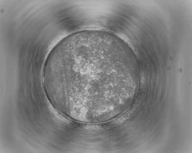 X0000087381466200705111723