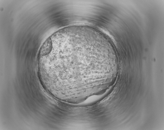 X0000087381467200705111723