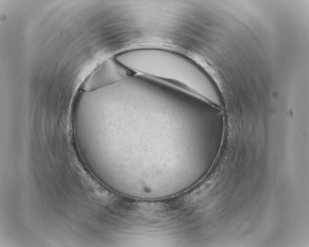 X0000087381469200705111723