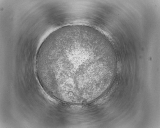 X0000087381470200705111723