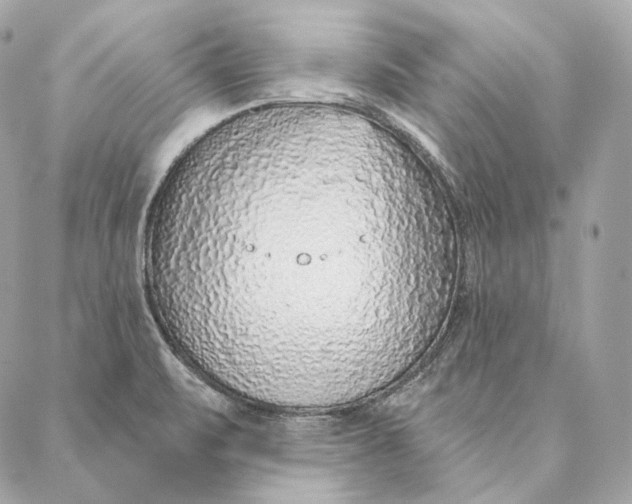 X0000087381471200705111723