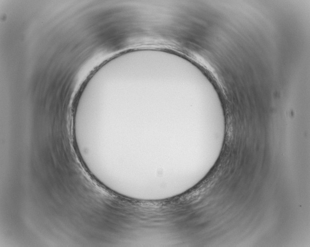 X0000087381472200705111723