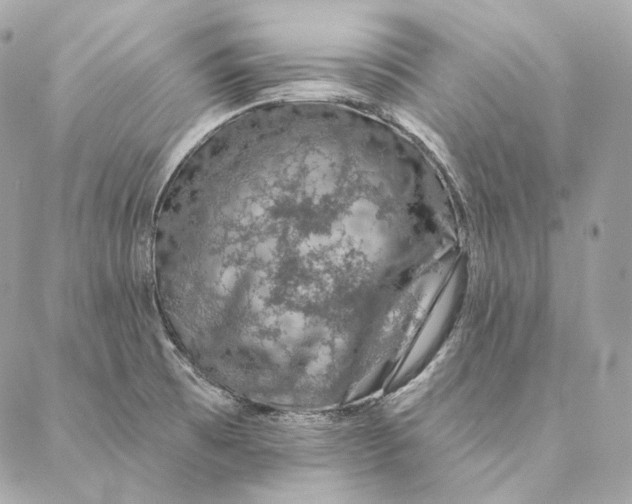 X0000087381473200705111723