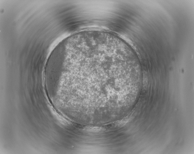 X0000087381474200705111723