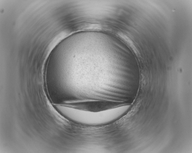 X0000087381475200705111723