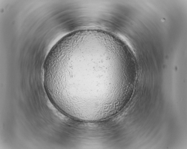 X0000087381476200705111723