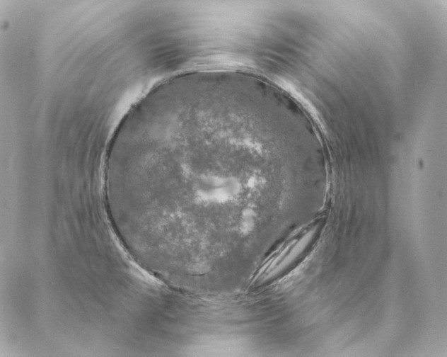 X0000087381477200705111723